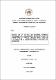 02 ICA 920 TESIS.pdf.jpg