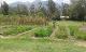 20160315_131218.jpg.jpg
