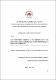 02 IEF 19 Tesis 2011.pdf.jpg
