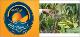 02 ICA 1150 logo.jpg.jpg
